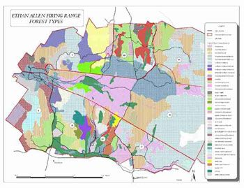 Forest Type Map